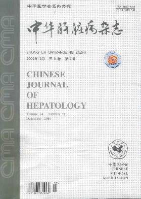 中华肝脏病封面